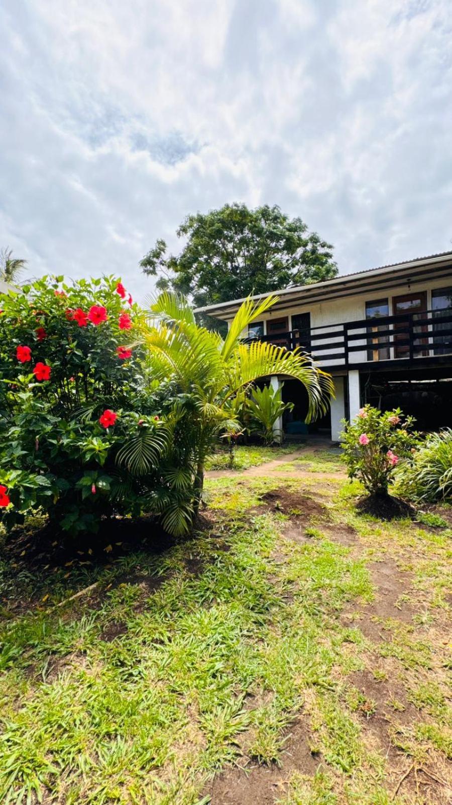 Mata Nui Eco Hostel Hanga Roa Buitenkant foto